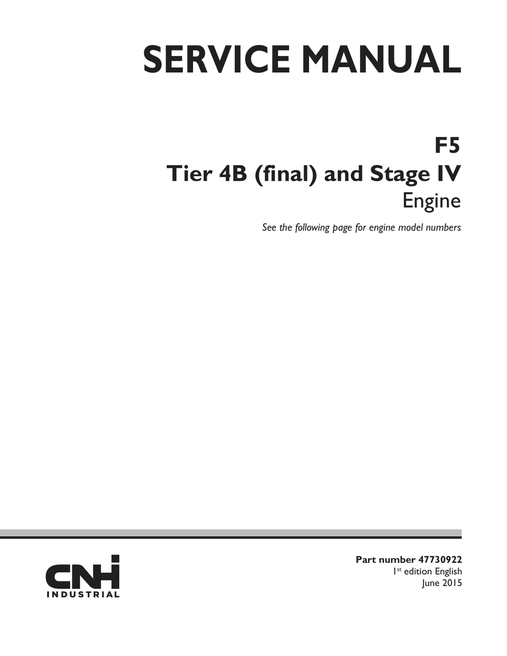 Skid Steer Case SV300 TIER 4 Engine Service Manual PDF Instant Download