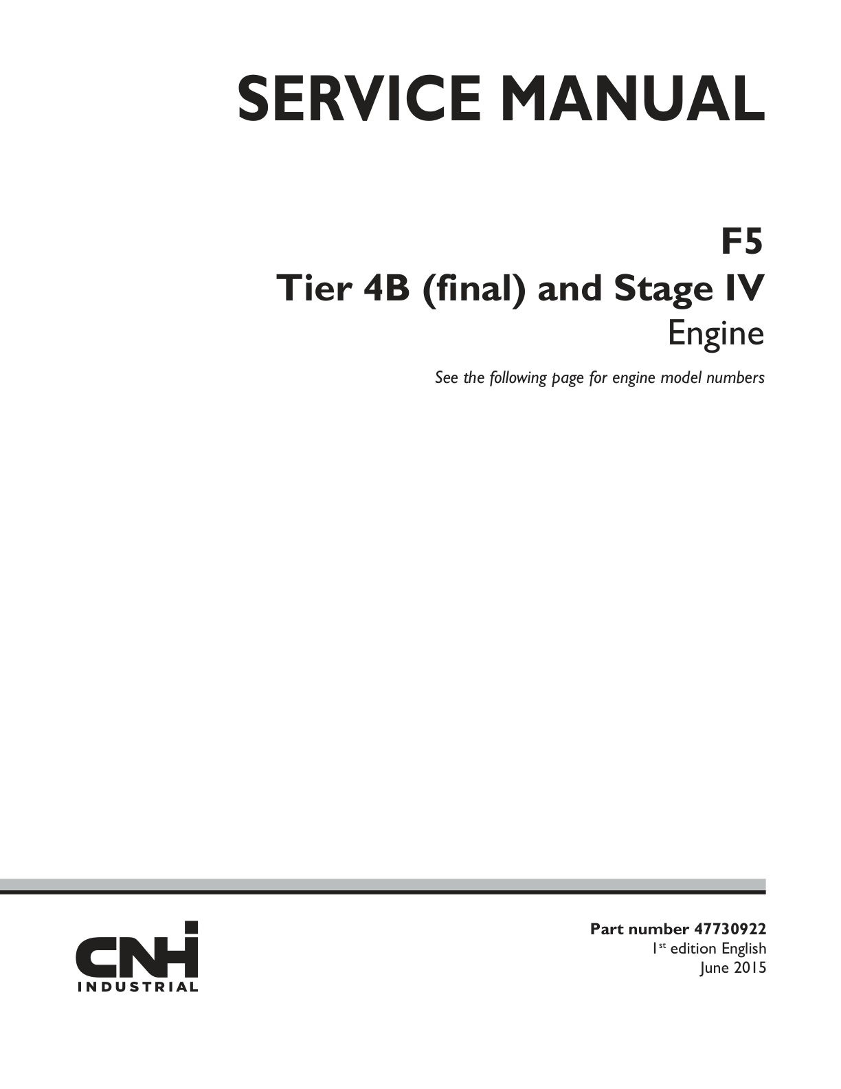 Skid Steer Case SV300 TIER 4 Engine Service Manual PDF Instant Download